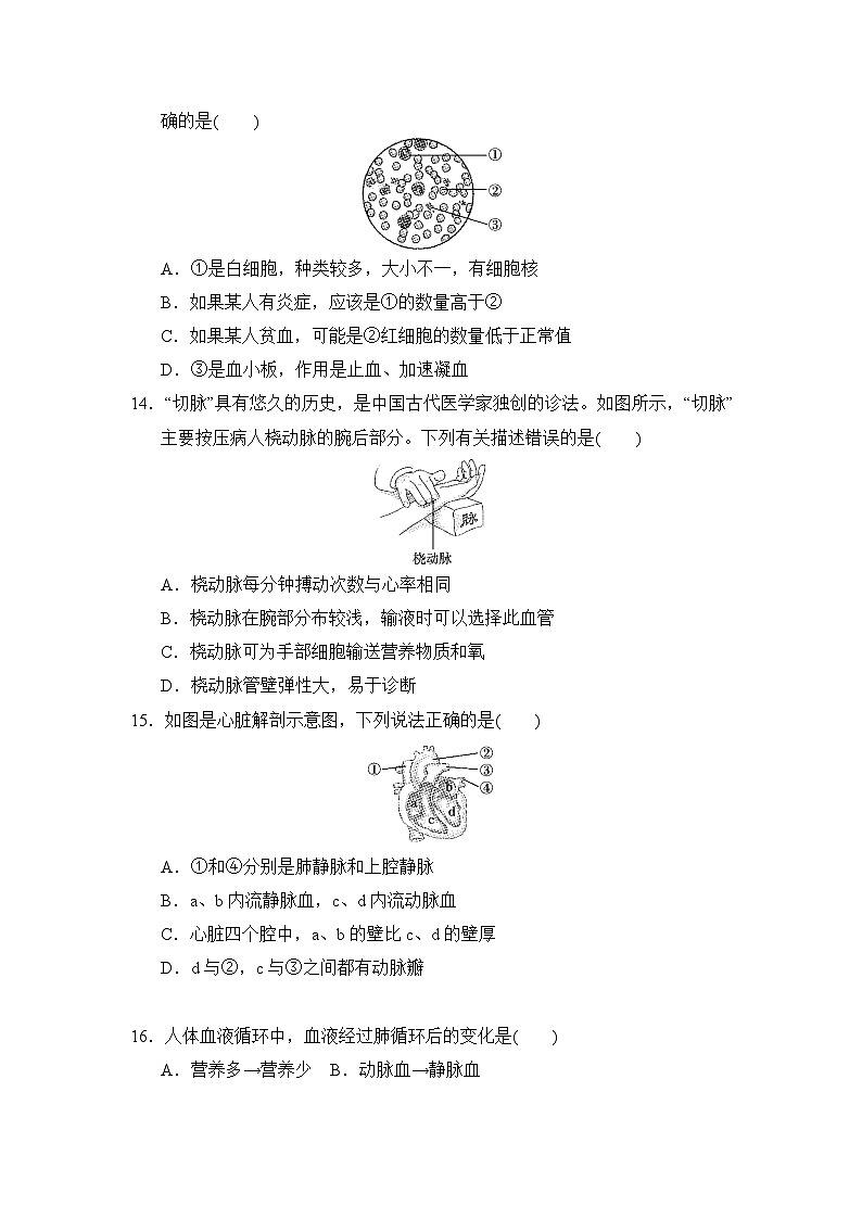 七年级生物下册 第二学期 期中综合测试卷（冀少版 2025年春）第3页