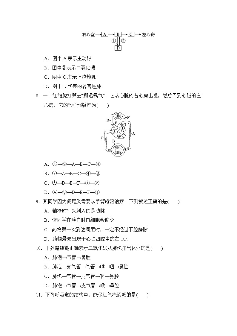 七年级生物下册 第二学期 期末综合测试卷（冀少版 2025年春）第2页