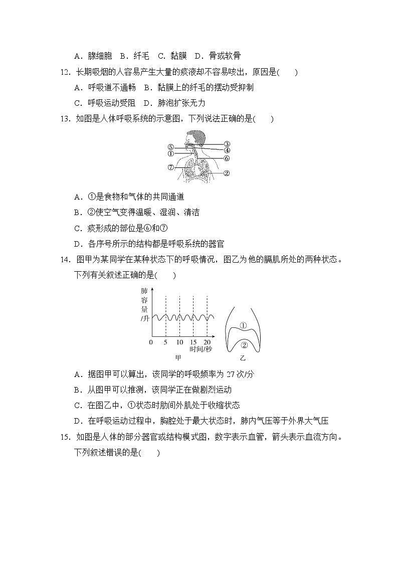 七年级生物下册 第二学期 期末综合测试卷（冀少版 2025年春）第3页