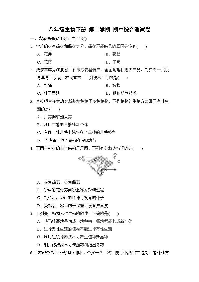 八年级生物下册 第二学期 期中综合测试卷（冀少版 2025年春）第1页