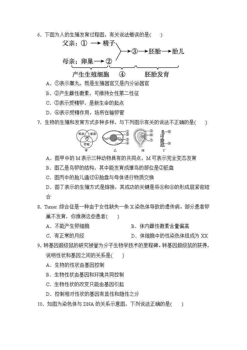 八年级生物下册 第二学期 期末综合测试卷（冀少版 2025年春）(一)第2页