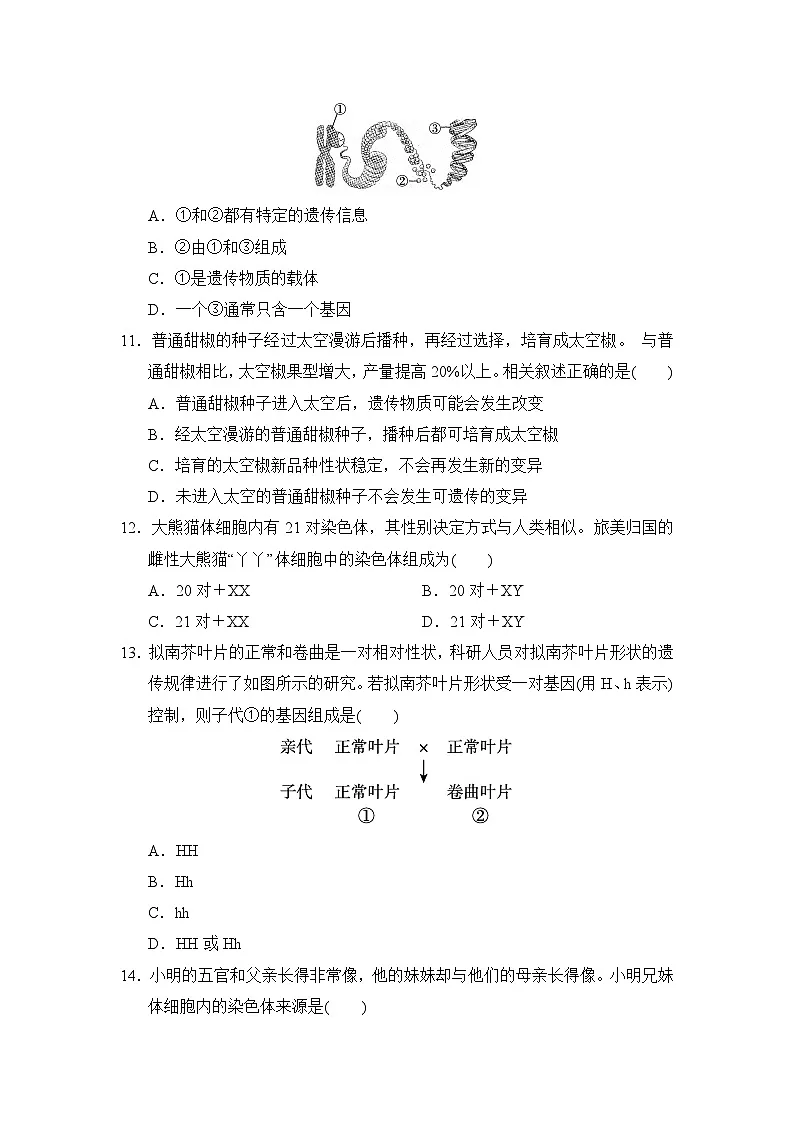八年级生物下册 第二学期 期末综合测试卷（冀少版 2025年春）(一)第3页