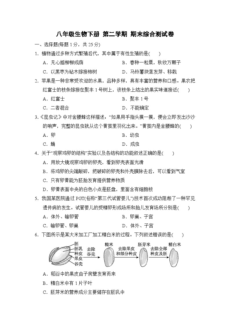 八年级生物下册 第二学期 期末综合测试卷（冀少版 2025年春）(二)第1页