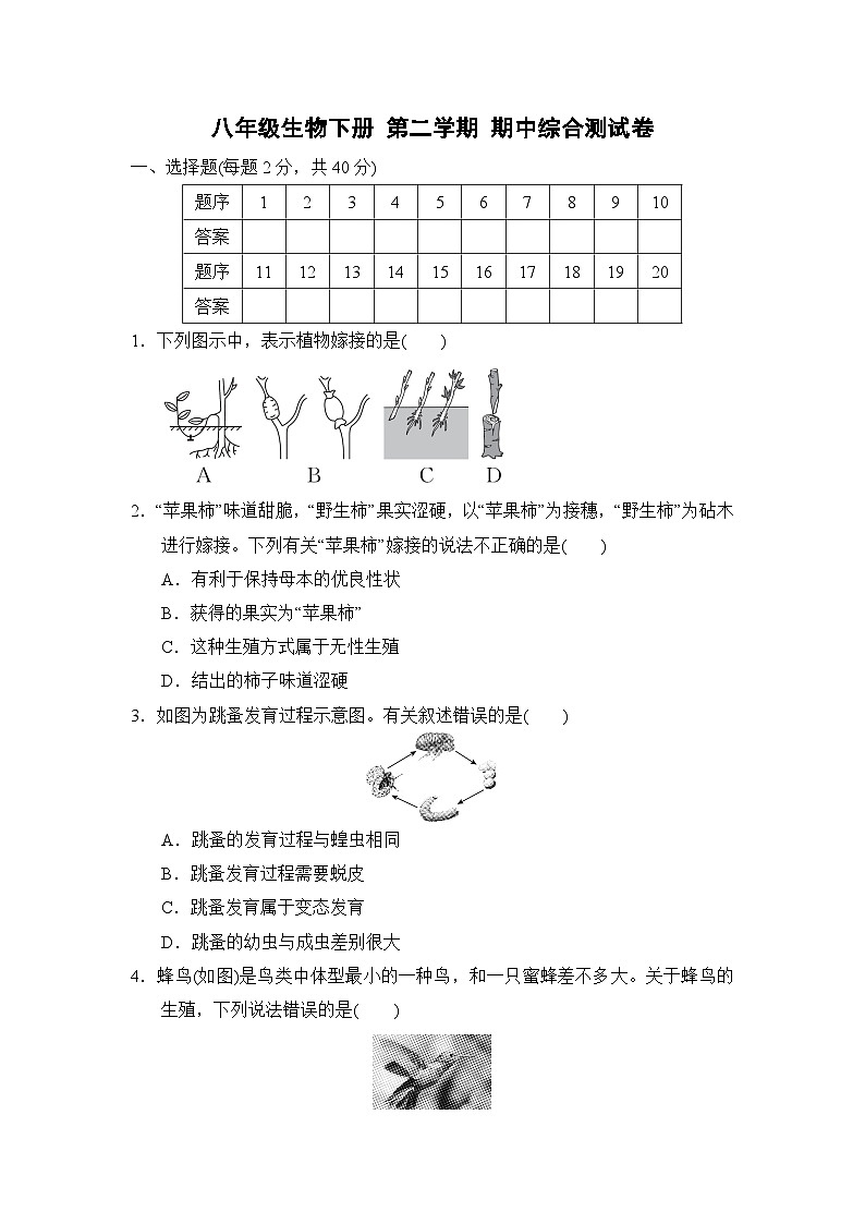 八年级生物下册 第二学期 期中综合测试卷（人教版 2025年春）第1页