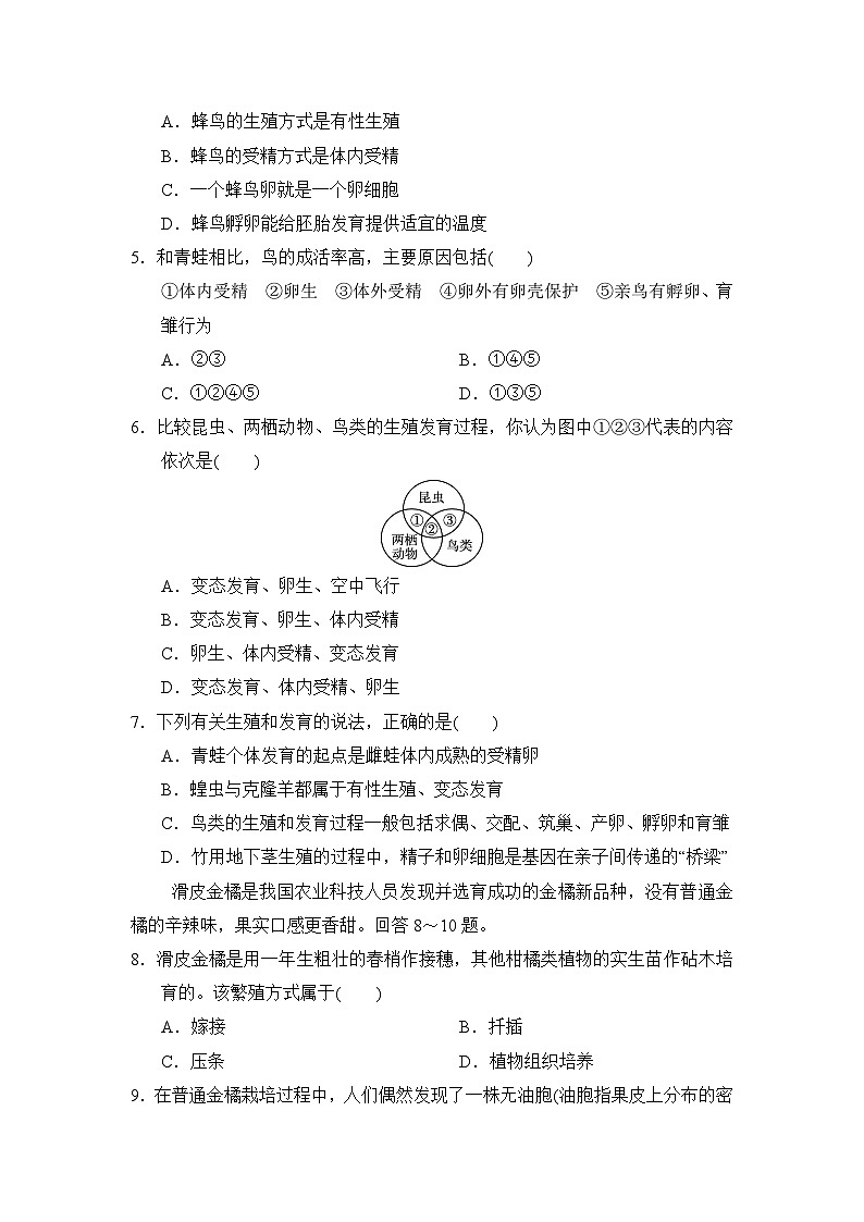 八年级生物下册 第二学期 期中综合测试卷（人教版 2025年春）第2页
