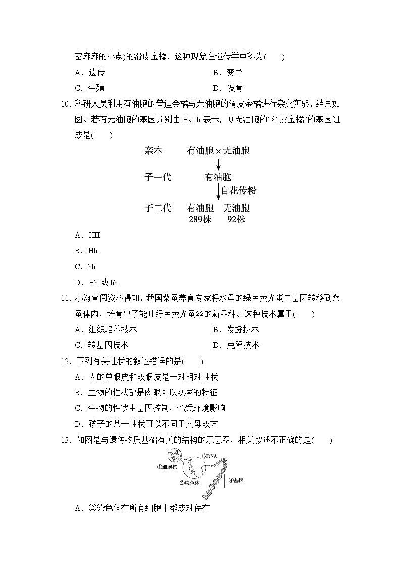 八年级生物下册 第二学期 期中综合测试卷（人教版 2025年春）第3页