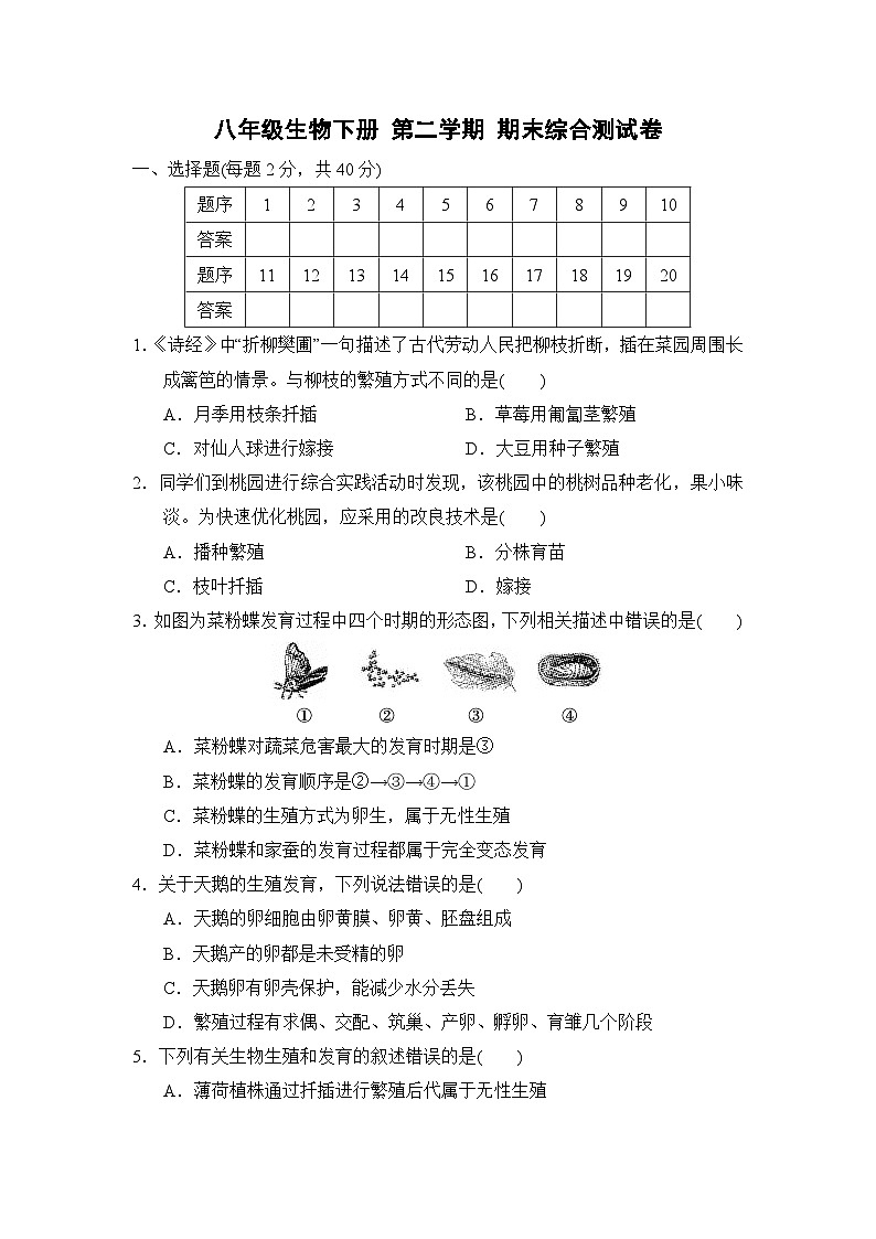 八年级生物下册 第二学期 期末综合测试卷（人教版 2025年春）第1页