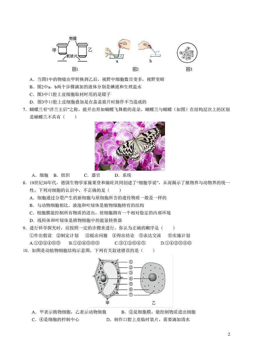 苏教版2024-2025学年上学期七年级上册第三次月考生物试卷含答案第2页