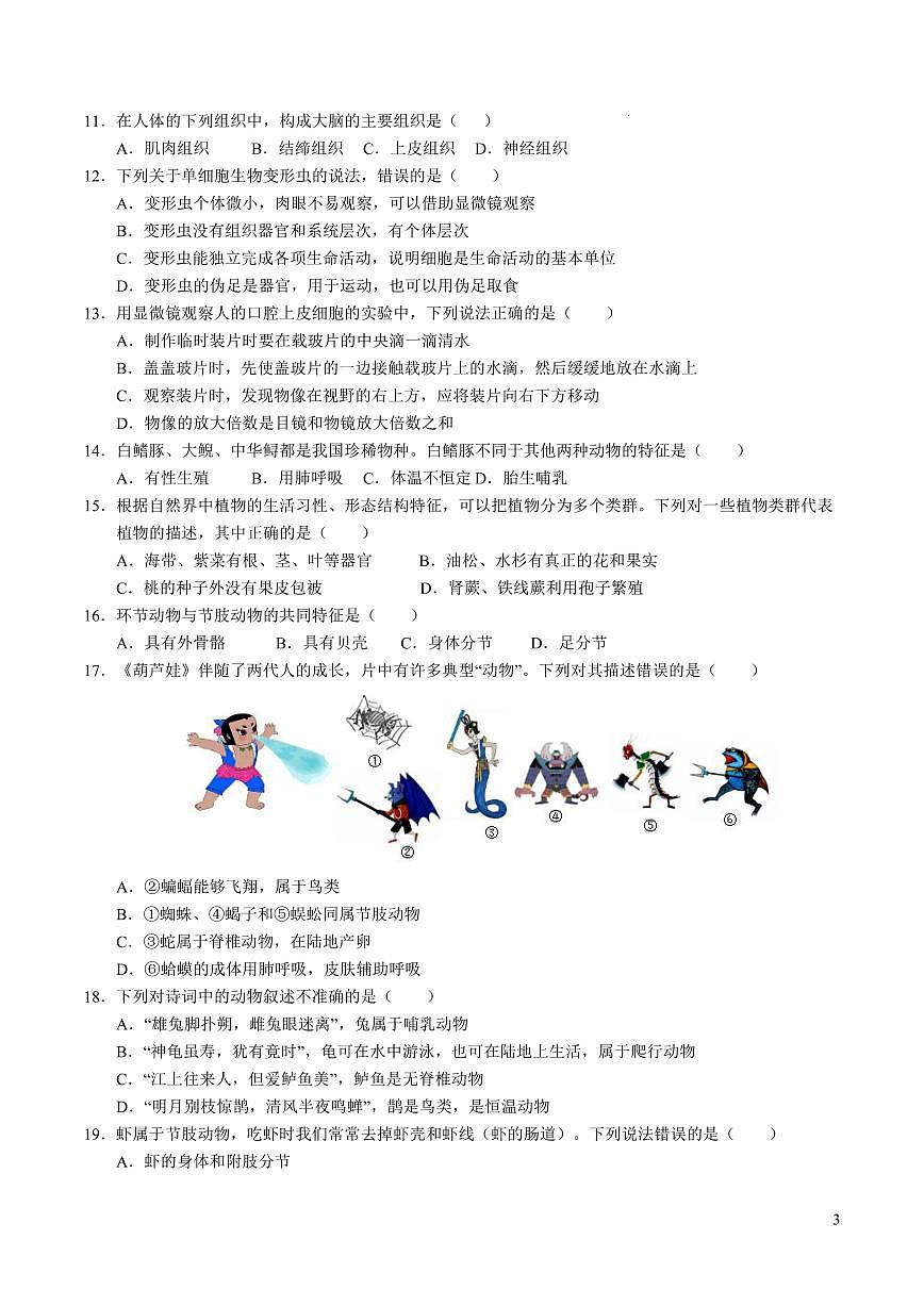 苏教版2024-2025学年上学期七年级上册第三次月考生物试卷含答案第3页