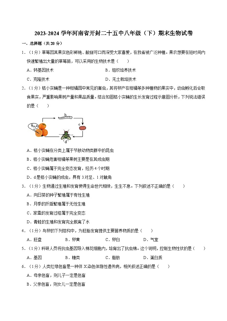 河南省开封市第二十五中学2023-2024学年八年级下学期期末考试生物试卷第1页