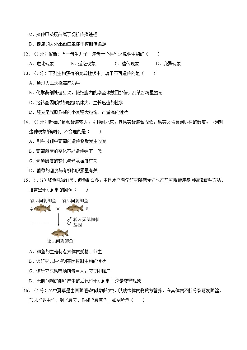 河南省开封市第二十五中学2023-2024学年八年级下学期期末考试生物试卷第3页