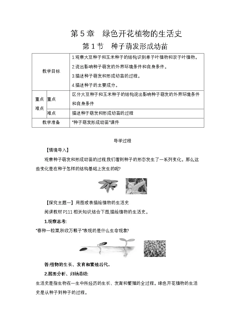 3.5.1 绿色开花植物的生活史 教案（含答案） 2024-2025学年生物学北师版七年级上册第1页