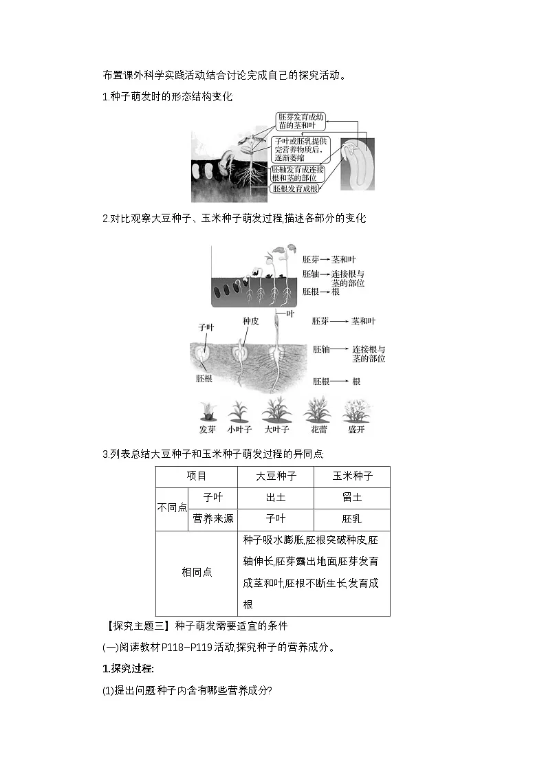 3.5.1 绿色开花植物的生活史 教案（含答案） 2024-2025学年生物学北师版七年级上册第3页