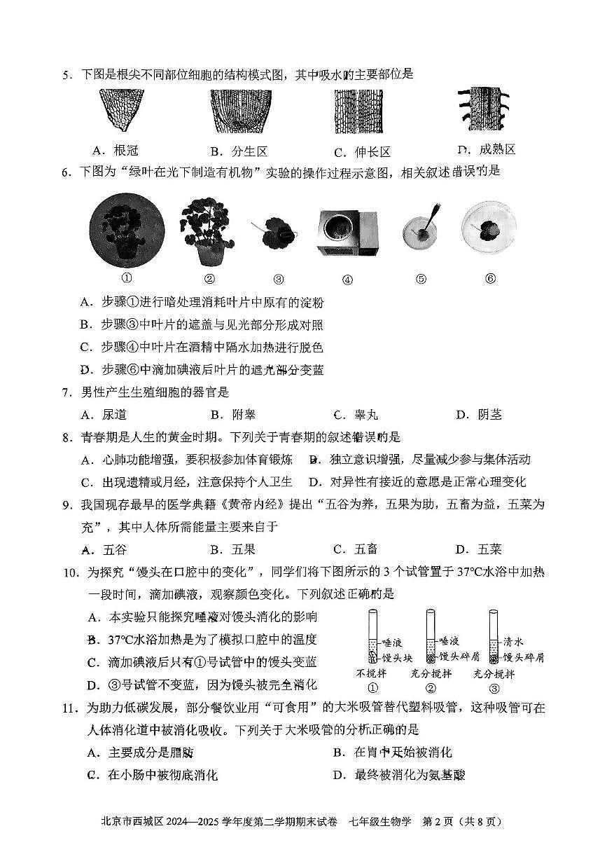 2025年北京市西城区七年级下学期期末生物试题（PDF版，含答案）第2页