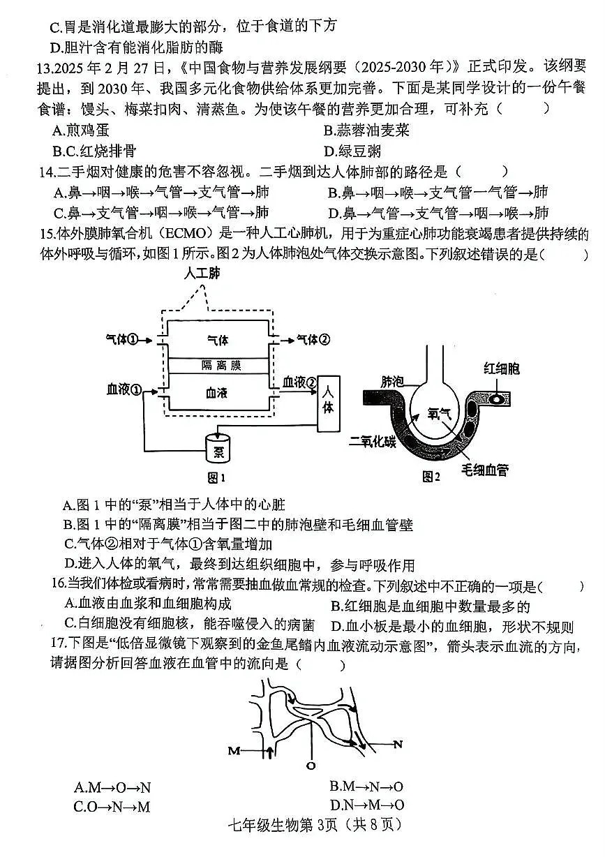河北省邯郸市武安市矿山中学、伯延镇中学联考2024-2025学年七年级下学期7月期末生物试题（PDF版，含答案）第3页