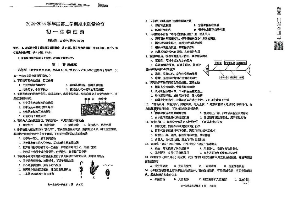 山东省青岛市莱西市（五四制）2024-2025学年六年级下学期期末考试生物试题（PDF版，含答案）第1页