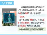 人教版（2024）八年級生物上冊課件 第四單元 第六章 第二節(jié) 第二課時(shí) 神經(jīng)調(diào)節(jié)的基本方式