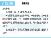 人教版（2024）八年級生物上冊課件 第四單元 第六章 第二節(jié) 第二課時(shí) 神經(jīng)調(diào)節(jié)的基本方式
