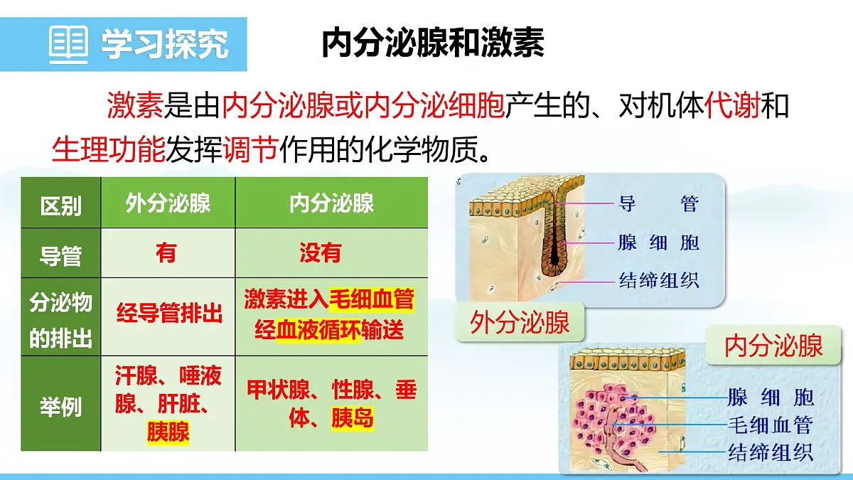 人教版（2024）八年级生物上册课件 第四单元 第六章 第四节 激素调节第4页