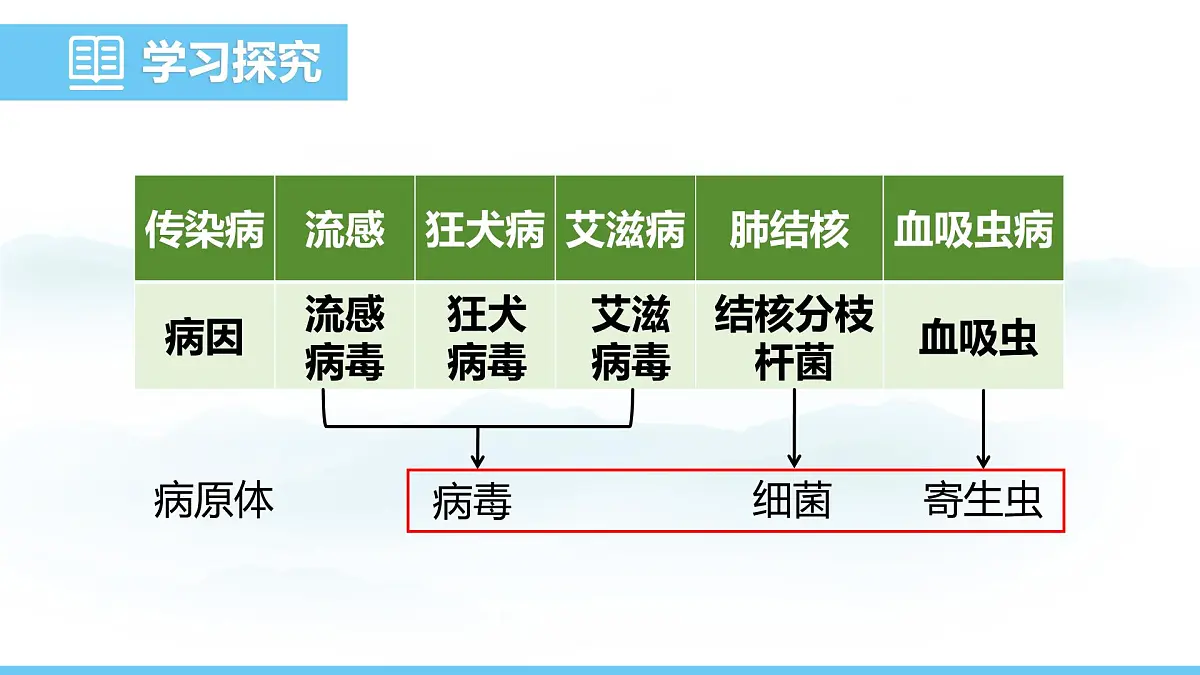 人教版（2024）八年级生物上册课件 第四单元 第七章 第一节 传染病及其预防第6页