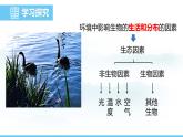 人教版（2024）八年級(jí)生物上冊(cè)課件 第五單元 第一章 第一節(jié) 生物與環(huán)境的相互作用