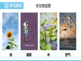 人教版（2024）八年級(jí)生物上冊(cè)課件 第五單元 第一章 第一節(jié) 生物與環(huán)境的相互作用