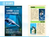 人教版（2024）八年級生物上冊課件 第五單元 第二章 第二節(jié) 維護生態(tài)安全