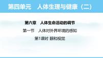 人教版（2024）八年级上册（2024）第一节 人体对外界环境的感知评课ppt课件