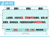 人教版（2024）八年級生物上冊課件 第四單元 第六章 第二節(jié) 第一課時(shí) 神經(jīng)系統(tǒng)的組成