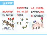 人教版（2024）八年級生物上冊課件 第四單元 第七章 第二節(jié) 第二課時 免疫的功能和免疫規(guī)劃