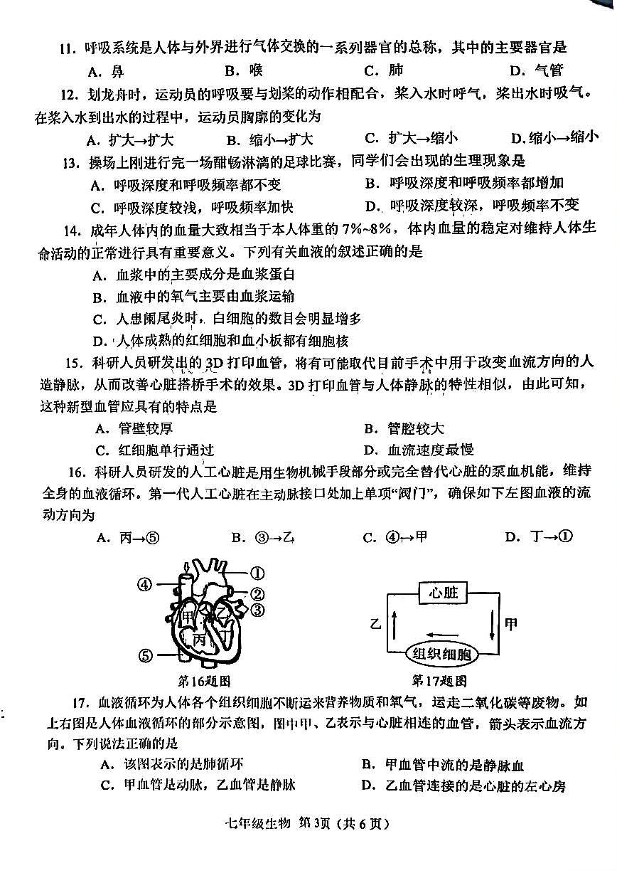 南阳市2024-2025学年七年级下学期期末生物试题及参考答案第3页