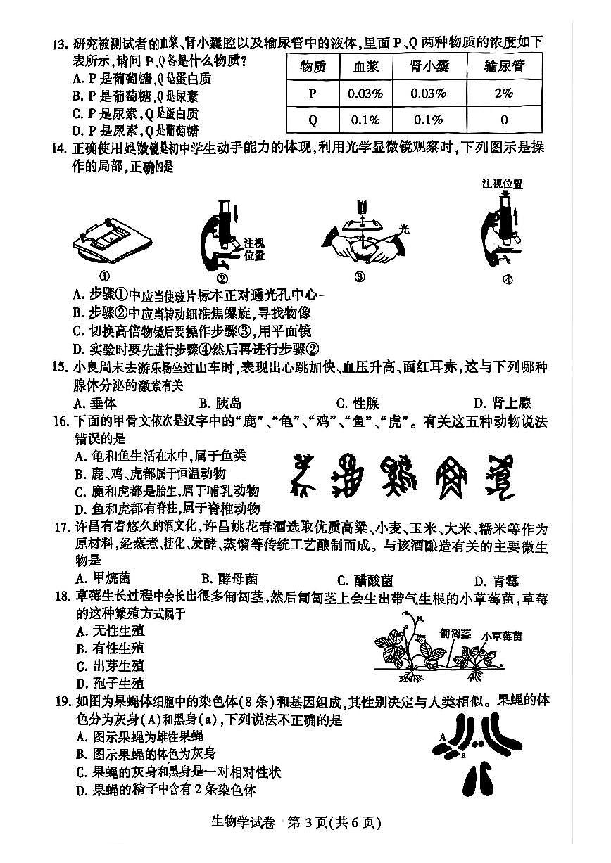 2025年许昌市初中学业水平考试生物学试卷及答案第3页