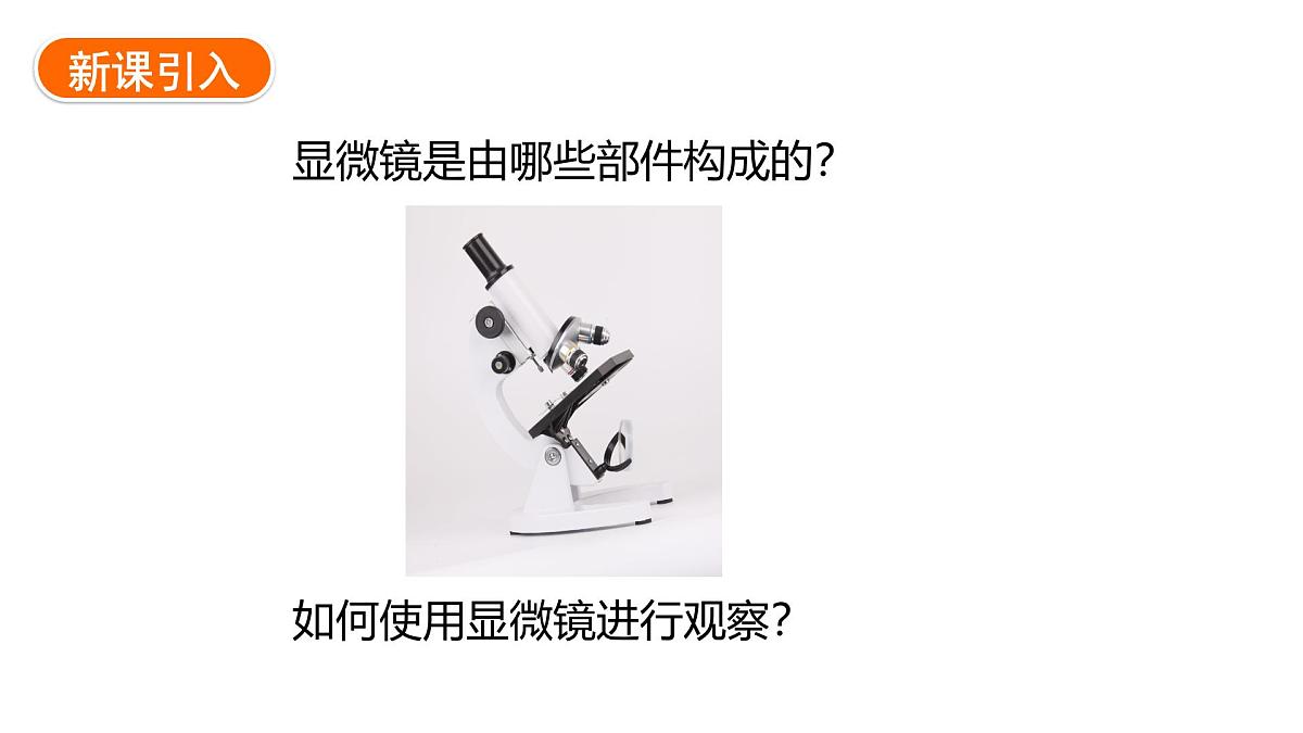 1.1.1+显微镜的使用+课件-2025-2026学年冀少版生物七年级上册第2页