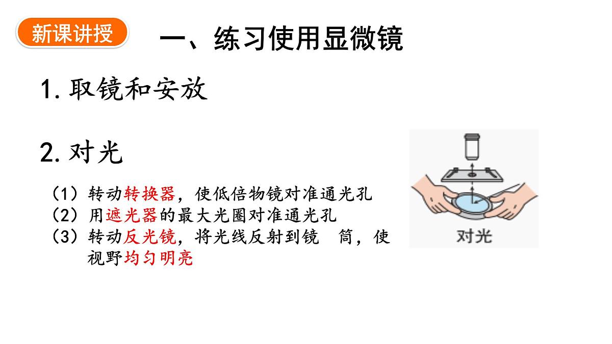 1.1.1+显微镜的使用+课件-2025-2026学年冀少版生物七年级上册第3页