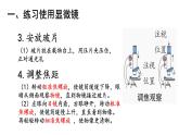 1.1.1+顯微鏡的使用+課件-2025-2026學年冀少版生物七年級上冊