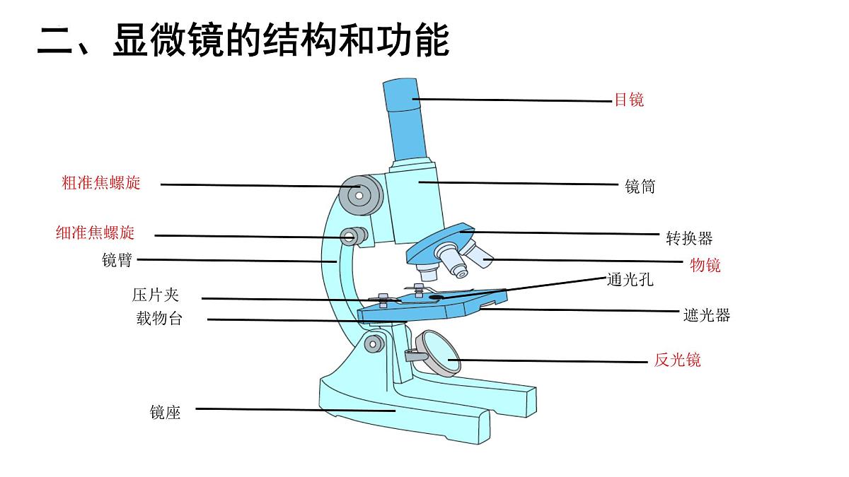 1.1.1+显微镜的使用+课件-2025-2026学年冀少版生物七年级上册第8页