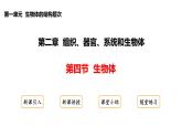 1.2.4+生物體+課件-2025-2026學(xué)年冀少版生物七年級上冊