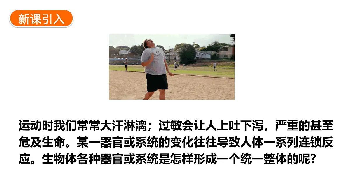 1.2.4+生物体+课件-2025-2026学年冀少版生物七年级上册第3页
