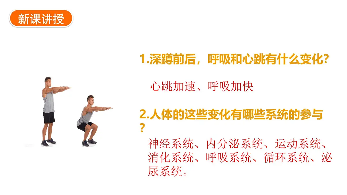 1.2.4+生物体+课件-2025-2026学年冀少版生物七年级上册第4页