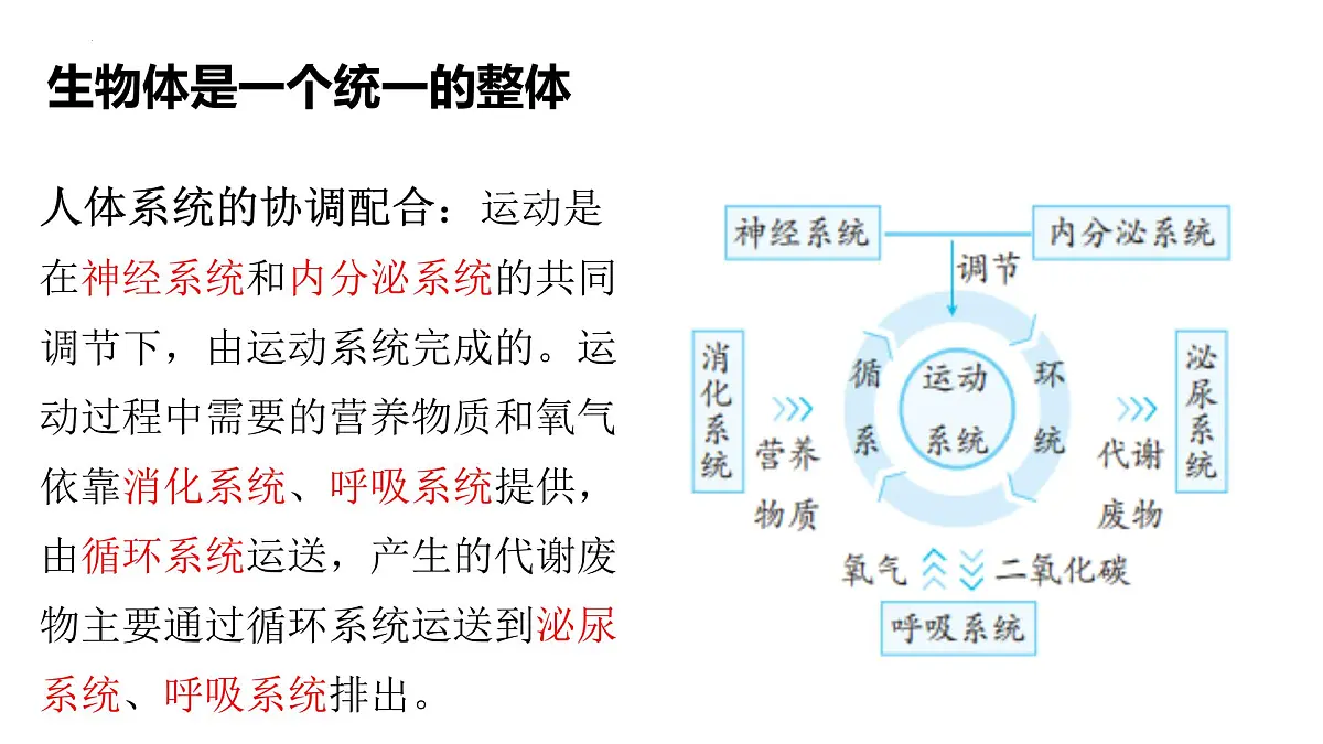 1.2.4+生物体+课件-2025-2026学年冀少版生物七年级上册第5页