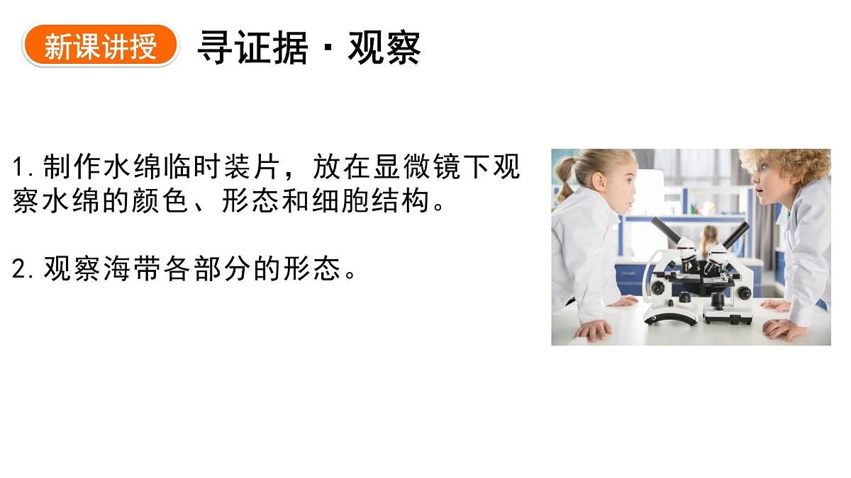 2.1.1+藻类+课件-2025-2026学年冀少版生物七年级上册第3页