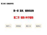 2.1.2++植物（種子植物）課件-2024-2025學年冀少版生物七年級上冊