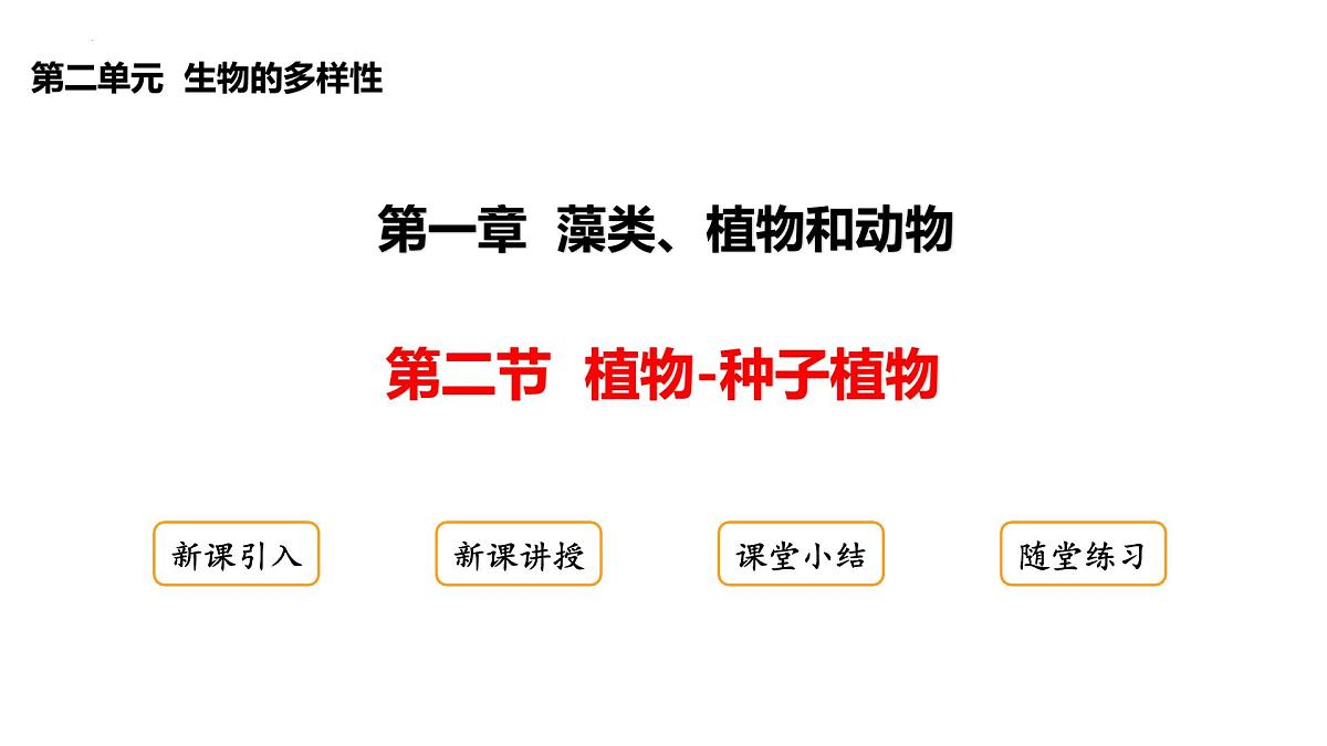 2.1.2++植物（种子植物）课件-2024-2025学年冀少版生物七年级上册第1页