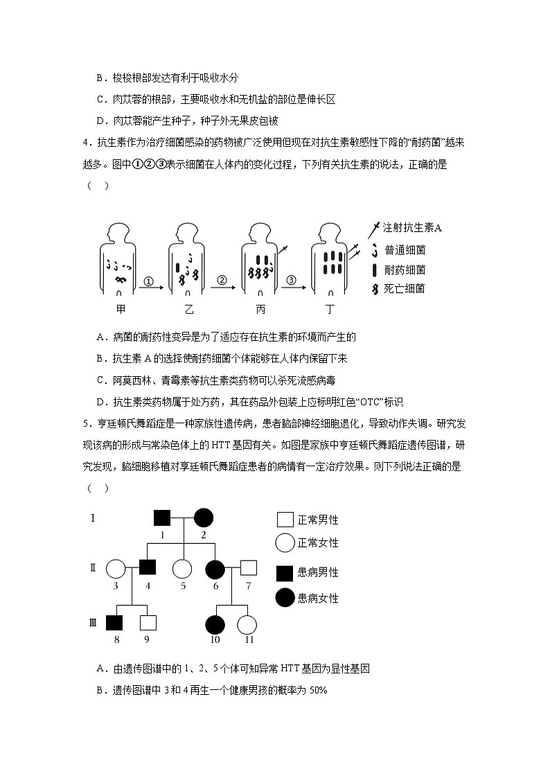 2025年内蒙古自治区中考一模生物试题（附答案解析）第2页