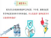 【新教材核心素養(yǎng)】冀少版版生物八年級(jí)上冊(cè)4.1.4《預(yù)防接種》（教學(xué)課件+教學(xué)設(shè)計(jì)）