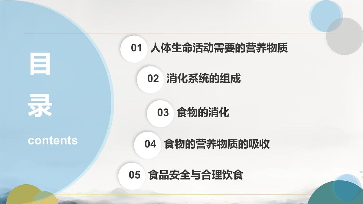 初中 生物 冀少版（2024） 七下生物期末复习（一）课件第3页