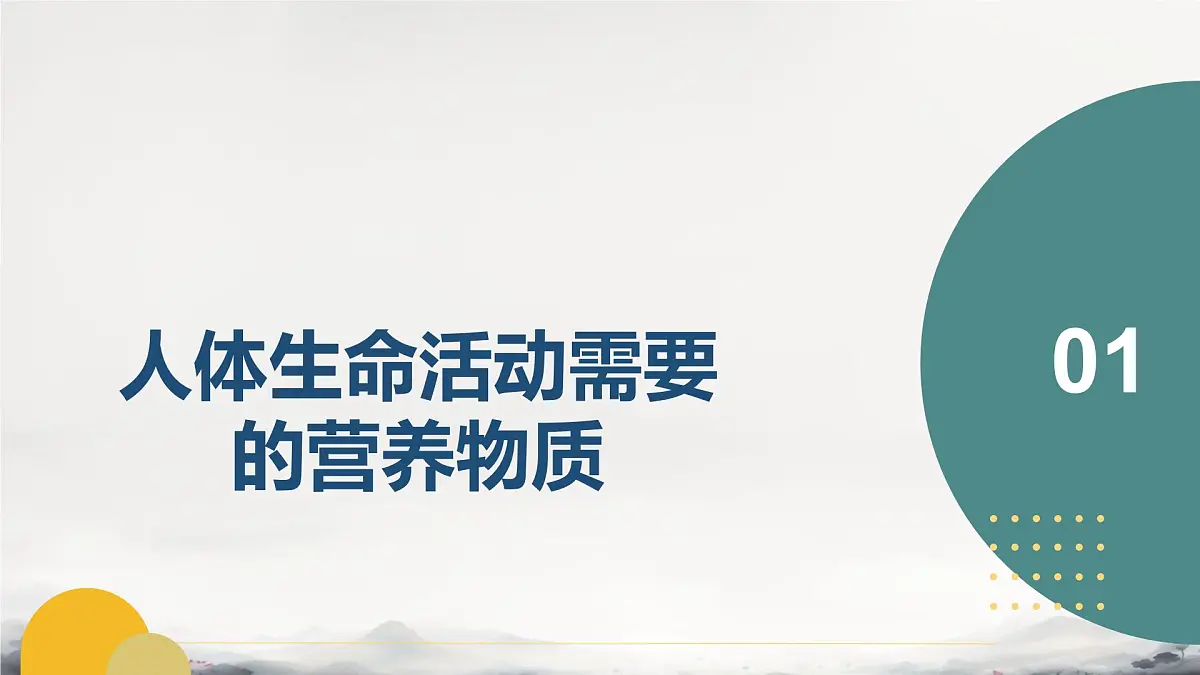 初中 生物 冀少版（2024） 七下生物期末复习（一）课件第4页