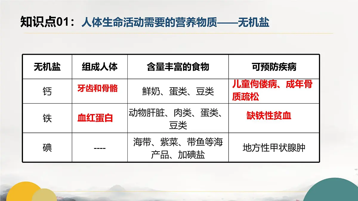 初中 生物 冀少版（2024） 七下生物期末复习（一）课件第6页