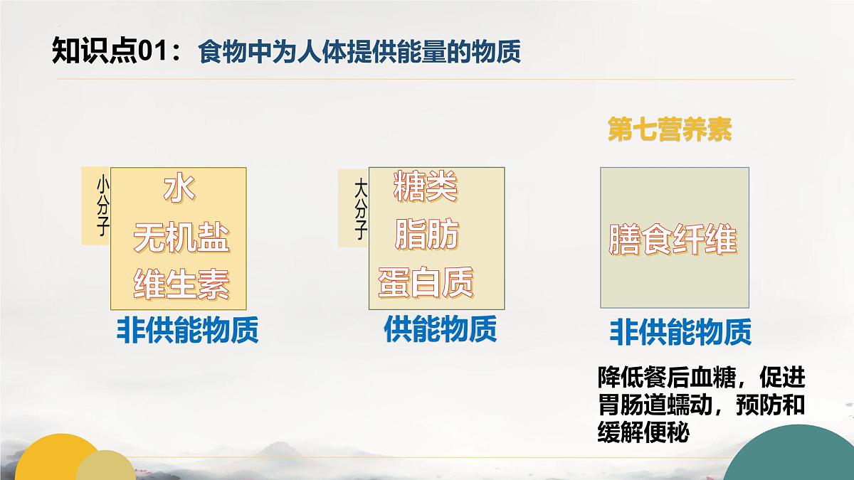 初中 生物 冀少版（2024） 七下生物期末复习（一）课件第8页
