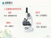初中  生物  冀少版（2024）  七年級上冊1.1.1 顯微鏡的使用 課件